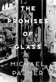 Tapa de The promises of glass