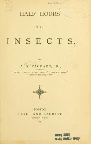 Tapa de Half hours with insects