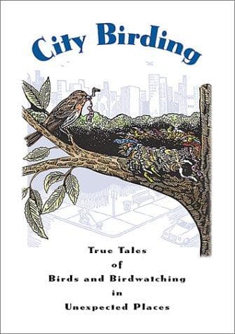 Tapa de City Birding