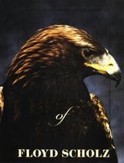 Tapa de Birds of prey