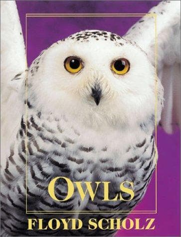 Tapa de Owls