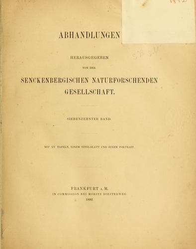 Tapa de Lepidopteren von Madagascar