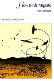 Tapa de How birds migrate