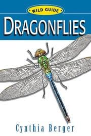 Tapa de Dragonflies