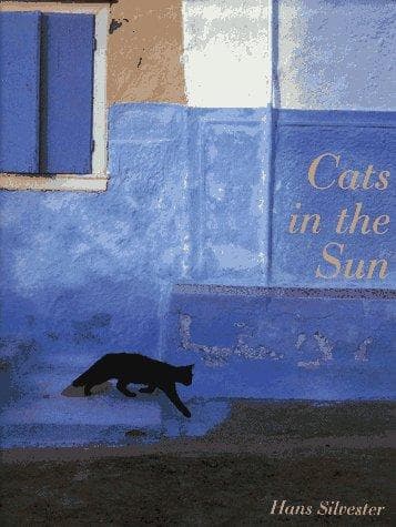 Tapa de Cats in the sun