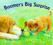 Tapa de Boomer's Big Surprise