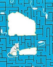 Tapa de 52 Great Escapes from the Rat Race (52 Decks)