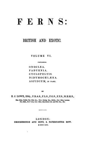 Tapa de Ferns: British and Exotic