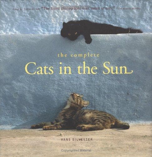 Tapa de The complete cats in the sun