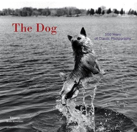 Tapa de The Dog