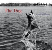 Tapa de The Dog