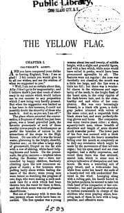 Tapa de The yellow flag