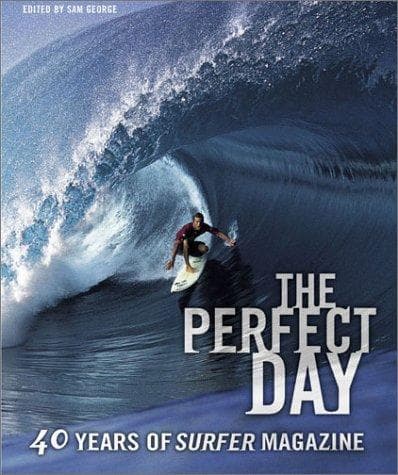 Tapa de The Perfect Day