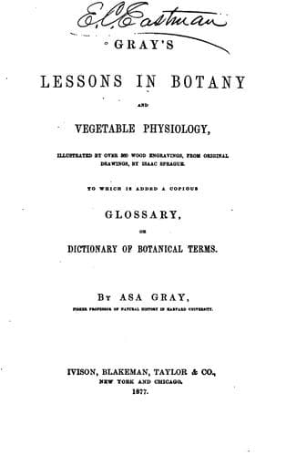 Tapa de Gray's Lessons in Botany and Vegetable Physiology