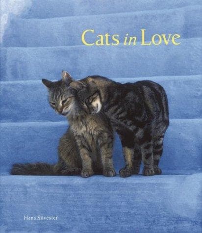 Tapa de Cats in love