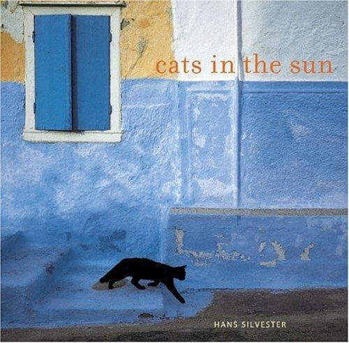 Tapa de Cats in the Sun