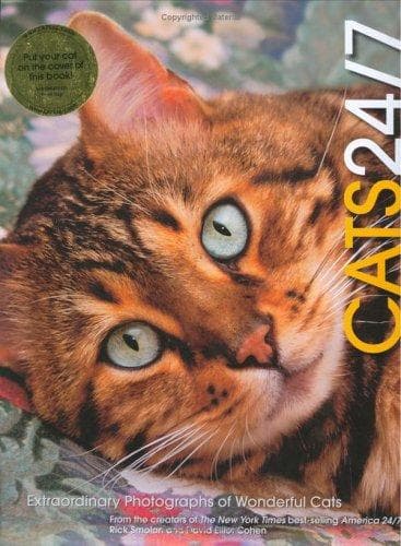 Tapa de Cats 24/7