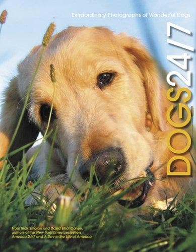 Tapa de Dogs 24/7
