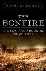 Tapa de The bonfire