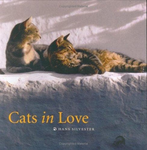 Tapa de Cats in Love