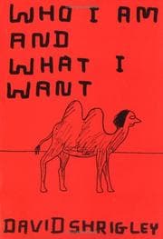 Tapa de Who I Am and What I Want