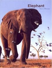 Tapa de Elephant