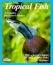 Tapa de Tropical Fish