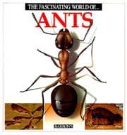 Tapa de The fascinating world of-- ants