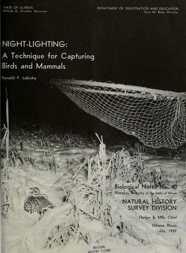 Tapa de Night-lighting