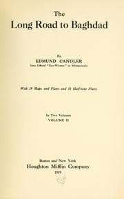 Tapa de The long road to Baghdad