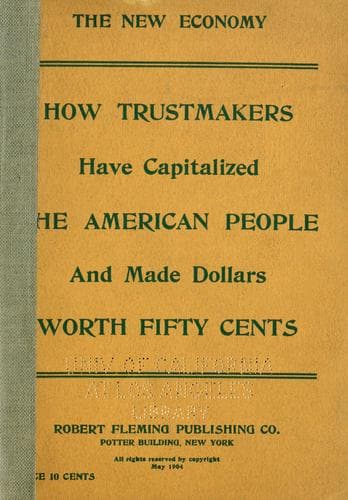 Tapa de The new economy