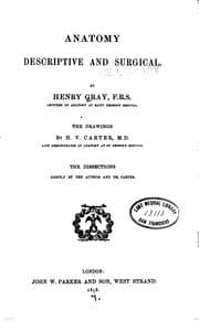 Tapa de Anatomy, descriptive and surgical