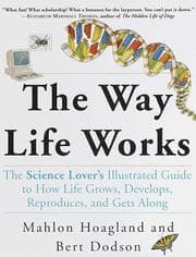 Tapa de The Way Life Works