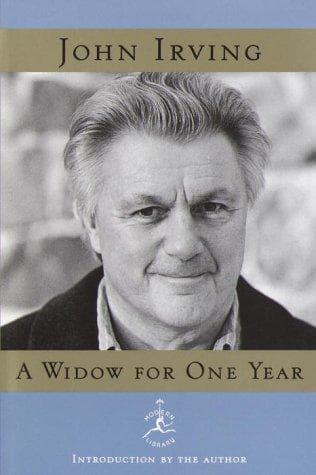 Tapa de A widow for one year