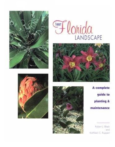 Tapa de Your Florida guide to bedding plants