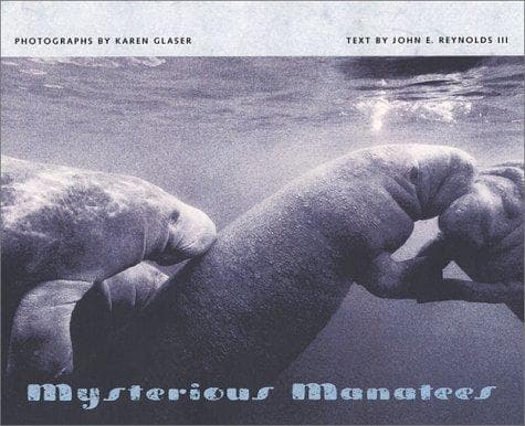 Tapa de Mysterious Manatees