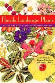 Tapa de Florida landscape plants