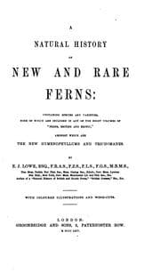 Tapa de A natural history of new and rare ferns