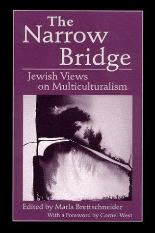 Tapa de The Narrow Bridge