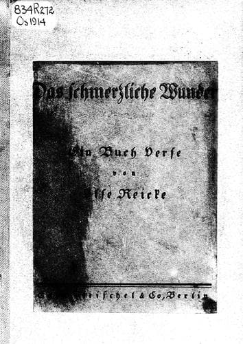 Tapa de Das schmerzliche Wunder