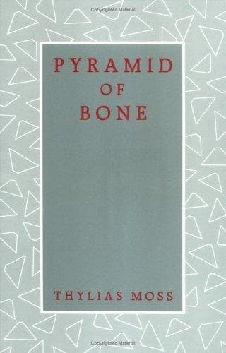 Tapa de Pyramid of bone