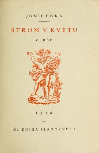Tapa de Strom v kvtu
