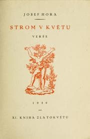 Tapa de Strom v kvtu