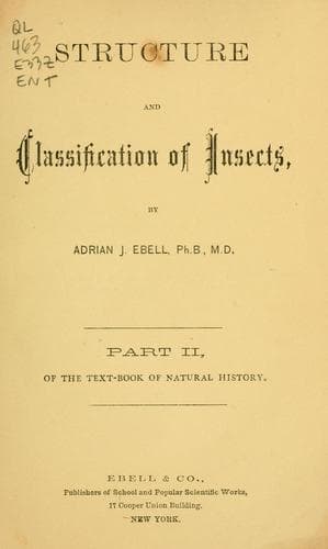 Tapa de Structure and classification of insects