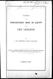 Tapa de Notes on prehistoric man in Egypt and the Lebanon