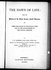 Tapa de The dawn of life
