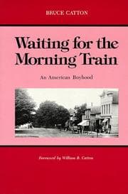 Tapa de Waiting for the morning train