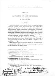 Tapa de Batrachia of New Brunswick