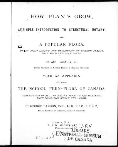 Tapa de How plants grow