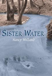 Tapa de Sister water